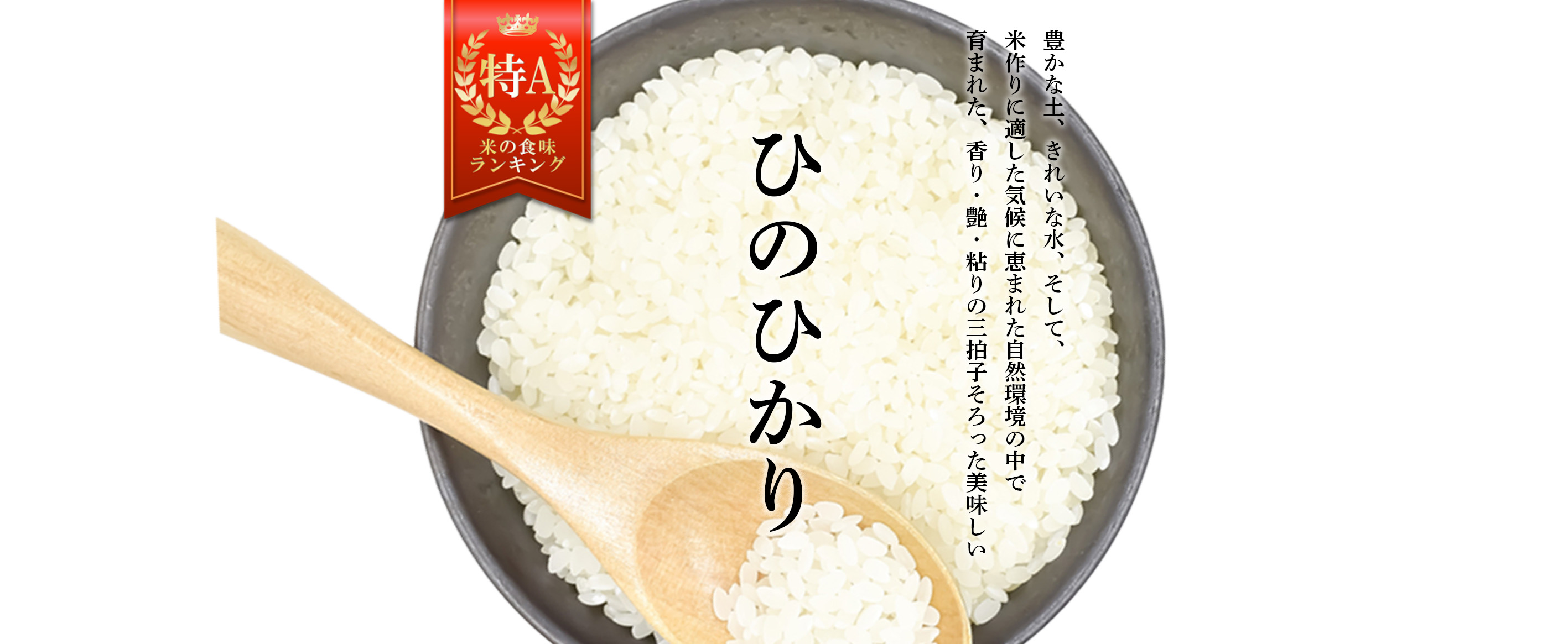 ひのひかりの説明