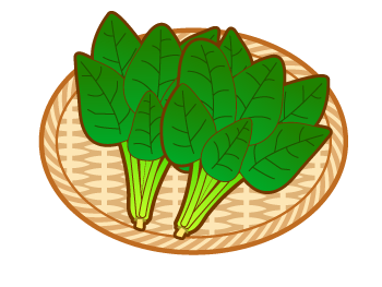 ちぢみほうれん草のイラスト