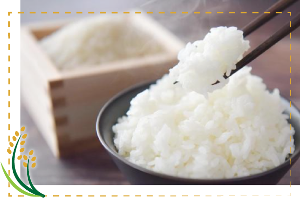 お米のイメージ