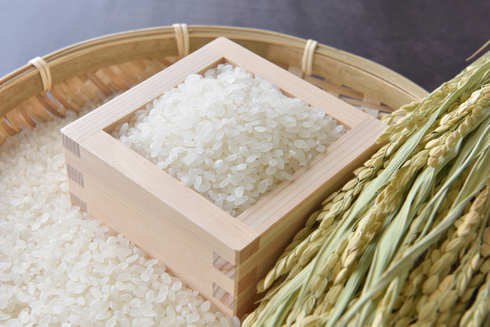 ひのひかりの写真